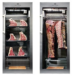 Шкаф для вызревания мяса DRY AGER DX1000PS + DX0062 E202560 - фото 2943867