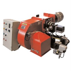 КОМБИНИРОВАННАЯ ГОРЕЛКА ECOFLAM MULTIFLAM 1000.1 G63200007 - фото 3019222