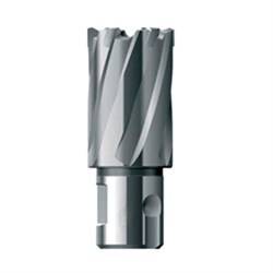 Кольцевая фреза FE Powertools HSS 39х30 252-181644 - фото 4864858