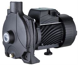 Поверхностный насос Pumpman TCP158 M133213 - фото 5323869