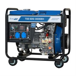 Дизельный генератор ТСС SDG 3000EH 549-160708 - фото 5527241