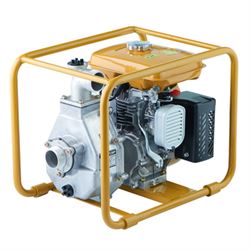 Мотопомпа бензиновая Daishin PTG208 182-073943 - фото 5940183