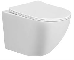 Унитаз подвесной Taliente Amato, безободковый, AM25010 T0054387 - фото 6099135