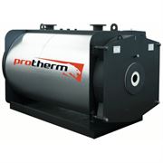 Комбинированный котел Protherm NO 150 (0010020153) M38478