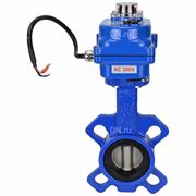 Затвор дисковый поворотный DN WBV1432E-2W-Fb Ду50 Ру16, корпус - чугун GGG50, диск - нержавеющая сталь 316L, уплотнение - EPDM, с 1/4-оборотным электроприводом QT-N-003EM-O1-220VAC-У1 blue 220В D050-24850