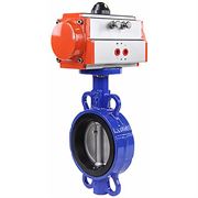 Затвор дисковый поворотный DN WBV1432N-2W-Fb Ду40 Ру16, корпус - чугун GGG50, диск - нержавеющая сталь 316L, уплотнение - NBR, с пневмоприводом DA-052 двойного действия D050-39628