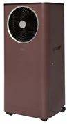 Мобильный кондиционер Ballu Twinkle BPAC-09 DWR/N6 Red M289502