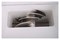 Измельчитель льда Kocateq SG158 E33904 - фото 2930378