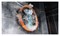 Пароконвектомат PIRON PF3116T E121518 - фото 2952957