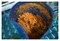 Соковыжималка Starfood S-800 E44200 - фото 2971609