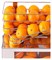 Соковыжималка Frucosol F50 E125849 - фото 2972013