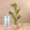 Очиститель воздуха Kyvol Vigoair P5 Air Purifier EA320 Серебристый с Wi-Fi M189801 - фото 3451767