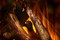 Линейный электрокамин British Fires New Forest 870 with Deluxe Real logs M234610 - фото 4749264