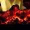 Широкий очаг 2D Real-Flame SAPHIR 25,5 M218318 - фото 4758257