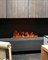 Встраиваемый очаг в модуль Schones Feuer 3D FireLine 800 стальной M234079 - фото 4758597