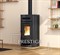 Дровяная печь La Nordica ORIANA Ghisa smaltata, legno (черный, дерево) M184932 - фото 4765887