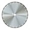Алмазный диск Dr Schulze DRS-SetEF 4,4 (800 мм) 142-045910 - фото 4838084