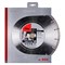 Алмазный диск Fubag BB-I 300х30-25,4 мм 142-098548 - фото 4838470