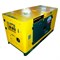 Дизельный генератор Champion DG20000ES-3 550-018647 - фото 4845728