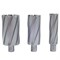 CWCT21 Сверло корончатое с твердосплавными пластинами Rotabroach 21x80 мм 252-020379 - фото 4860294