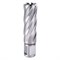 Сверло корончатое по металлу ПрофОснастка d 19 L=55/88 мм №11 Weldon19 HSS M2 252-147547 - фото 4864310