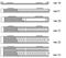 Стальной панельный радиатор Kermi FTV(FKV) 12 400x400 M80151 - фото 5175534