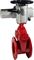 Задвижка клиновая Reon RSV60RED Ду100 Ру10,16 с обрезиненным клином, с электроприводом ЭП-МА 100/24, 380 В D040-07065 - фото 5368482