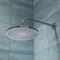IDDIS Душевая насадка верхняя круглая, хром, Optima Home, OPH25CPi64 T0056529 - фото 5432317