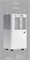 Бытовой осушитель воздуха Remez RMD-311N M234004 - фото 5462396