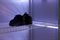 Шкаф озоновой очистки Ozonbox Clean Standart M187436 - фото 5672707