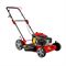 Бензиновая газонокосилка DDE LM 57 Pro 584-102082 - фото 5938995