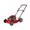 Бензиновая газонокосилка DDE LM 57 Pro 584-102082 - фото 5938996