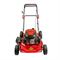 Бензиновая газонокосилка DDE LM 57 Pro 584-102082 - фото 5938997