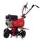 Мотокультиватор Eurosystems Euro-5 EVO RM S/R Loncin TM60 169-060720 - фото 5946837