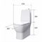 Унитаз компакт SANITA LUXE Infinity сидение микролифт T0024270 - фото 6096882
