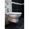 Унитаз подвесной Roca Dama Senso 346517000 T0022876 - фото 6097571