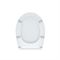 Сиденье IDDIS Сидеье для унитаза 004 004PPS3i31 T0045235 - фото 6099819