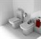 Напольный унитаз Roca Dama Senso 342517000 T0022875 - фото 6099955