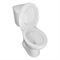 Напольный унитаз Loranto Lino с сиденьем микролифт (soft close) полипропилен, CS-CT8812 T0062275 - фото 6100038